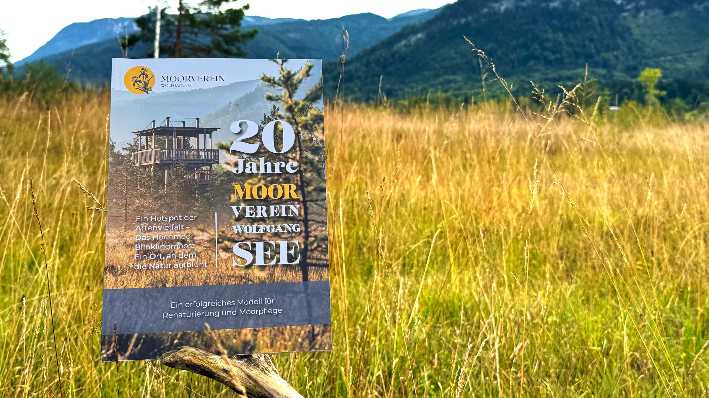 Magazingestaltung für den Moorverein Wolfgangsee