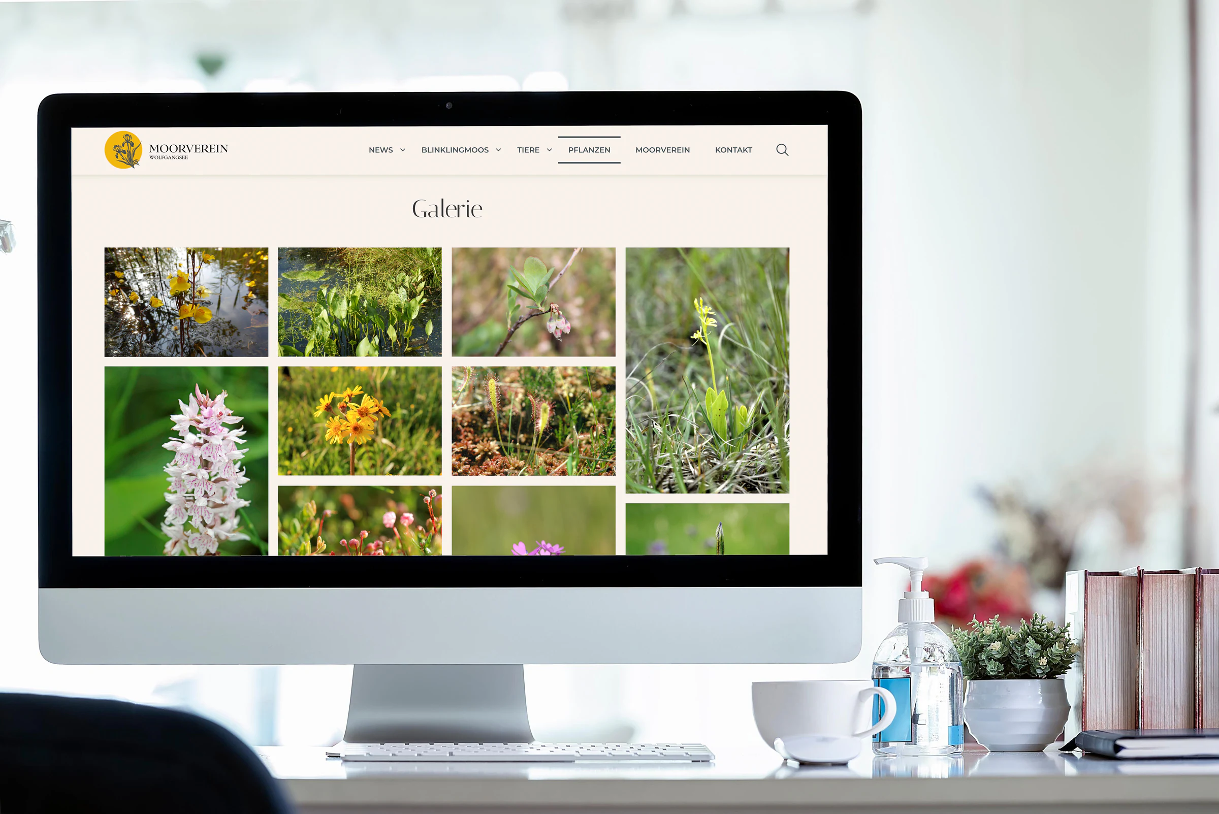 Website des Moorvereins Wolfgangsee